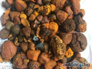 2024 ARO IMS Whatsapp +237651673431/ Buy/sale top Quality Ox Cattle Gallstones Online. Email : jordanchapman20@gmail.com