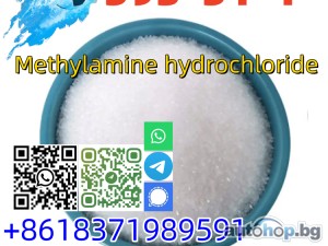 2024 Austin Healey Sprite 593-51-1 Methylamine hydrochloride with best price