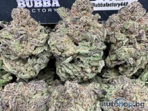 2025 Dodge Ram BUY MARIJUANA WEED AND SEEDS,MUSHROOMS SHROMS ONLINE