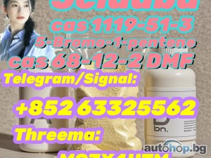 5-Bromo-1-pentene CAS 1119-51-3 100% past customs safe delivery high quality