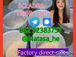 5cladba adbb raw material 5CLADBA precursor raw 5cl-adba 5f adb