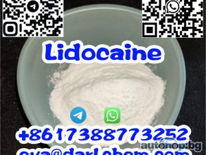 99% Anesthesia Powder CAS136-47-0 Stock Tetracaine Safe Lidocaine Procaine