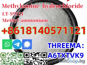 99% purity Methylamine Hydrochloride cas 593–51–1 for Pharmaceutical 20 GEL