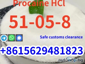 99.9% Procaine HCl Procaine HCl CAS 51-05-8 Best price