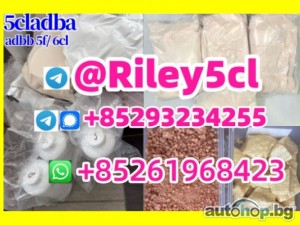 adbb 5cladba powder 5cladba raw material 5CL-ADB-A precursor raw