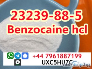 Benzocaine HCL CAS 23239-88-5 vendor Safe Customs Clearance