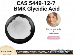 BMK Glycidic Acid CAS 5449-12-7