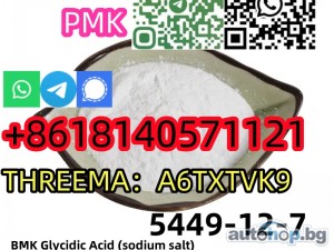 Buy BMK Glycidic Acid (sodium salt) CAS 5449-12-7 hot in Netherlands/UK/Poland/Europe