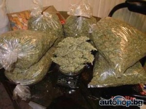 Buy Cannabis at the Best Online Dispensary, Signal: +237679774145