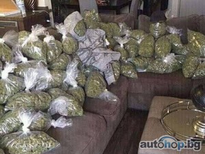 Buy Cannabis Flower Online - Insa Ohio Cannabis Dispensary