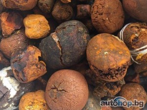 Buy cow /Ox Gallstone Available On Stock Now @ (WhatsApp: +237673528224