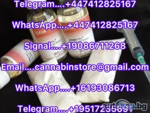 Buy injectable Nembutal,Nembutal solution,4MMC,3MMC,3CMC