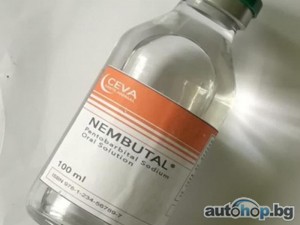 Buy Nembutal, Adderall, ( WhatsApp: +33605811506