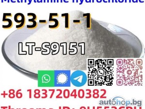 Buy Safe shipping CAS 593-51-1 Methylamine hydrochloride