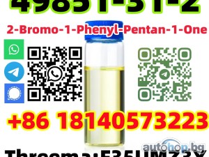 Buy Top Quality cas 49851-31-2 2-Bromo-1-Phenyl-Pentan-1-One EU warehouse