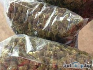 BUY Weed and Cannabis Dispensary Delivery THC & CBD Signal: +237679774145