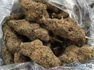 Buy Weed Online europe Online Weed Dispensary online Signal: +237679774145