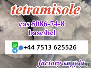 cas 5086-74-8 tetramisole hcl base powder door to door ship worldwide