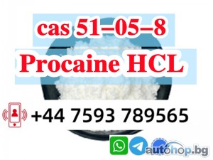 cas 51-05-8 Procaine Hcl Procaine Hydrochloride large stock