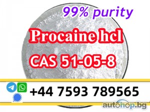 cas 51-05-8 Procaine Hcl Procaine Hydrochloride to holland