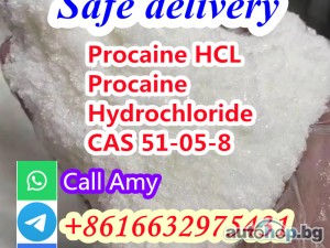 Cas 51-05-8 procaine hydrochloride factory direct sale