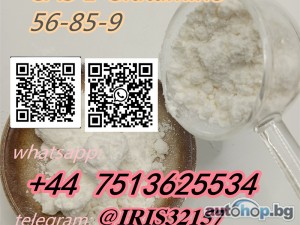 CAS 56-85-9 L-Glutamine Powder with in Stock Lowest Price and Fast Shipping L Glutamine