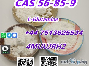 CAS 56-85-9 L-Glutamine Powder with Lowest Price