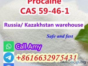 CAS 59-46-1 Procaine with Fast Delivery