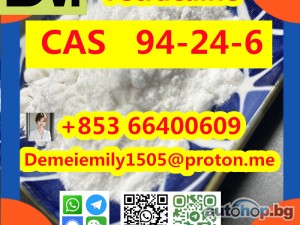 CAS 94-24-6 Tetracaine China factory supply Low price High Purity Best Quality Hot Selling Low price High Purity