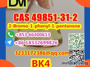 Direct Sales from China Factory CAS 49851-31-2 2-Bromo-1-phenyl-1-pentanone