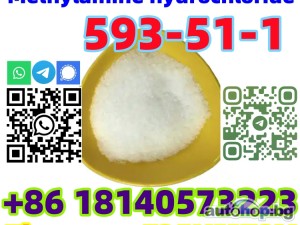 Europe warehouse CAS 593-51-1 Methylamine hydrochloride with low price