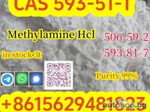 Ex-factory price CAS 593-51-1 Methylamine hydrochloride safe customs clearance