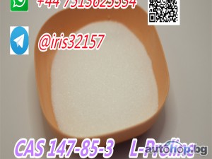 Factory Price L-Proline / L-Proline 99% CAS 147-85-3