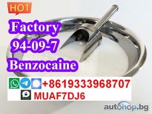Factory supply High quality benzocaine CAS94–09–7 free sample