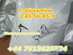 Fast Shipping L Glutamine CAS 56-85-9