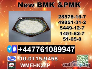 Good service BMK powder cas 5449-12-7,20320-59-6 in world