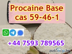 high purity cas 59-46-1 Procaine powder Procaine base ship worldwide