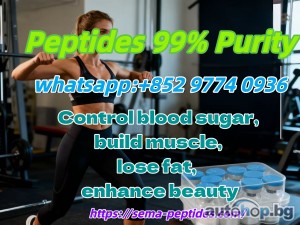 high quality. 2025 Hot-selling Peptide Samaglutide