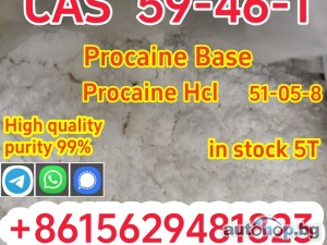 High quality cas 59-46-1 procaine base powder safely delivered to your door