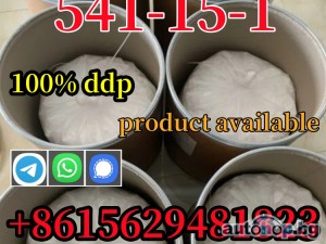 High quality in-house L-carnitine salt 99% purity CAS 541-15-1, affordable price