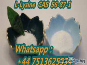 High Quality L-Lysine CAS 56-87-1