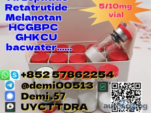 High Quality Retatrutide Powder Retatrutide CAS 2381089-83-2