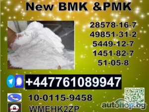 Hot sale 28578-16-7 PMK oil in Netherlands