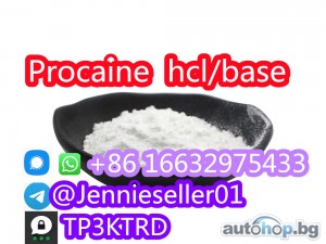 hot sale Procaine base CAS 59-46-1 /51-05-8 / procaine hcl and base in spot stock