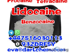 Hot Sales CAS 73-78-9 99% Lidocaine powder Pain Relief Powder Lidocaine powder