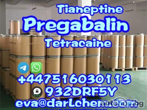 Hot Sell pregabalin powder with CAS 148553-50-8