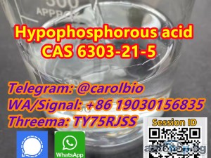 HYPO CAS 6303-21-5 +8619030156835