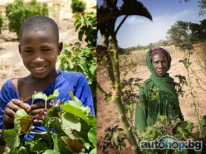 KIA предоставя 1,5 милиона евро за благотворителна програма в Африка