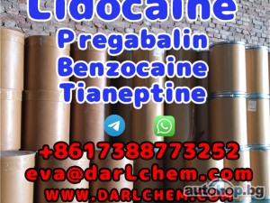 Lidocaine Tianeptine pregabalin raw Powder 137-58-6 Best Price