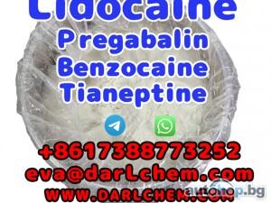 Lidocaine Tianeptine pregabalin raw Powder 137-58-6 darl Supply